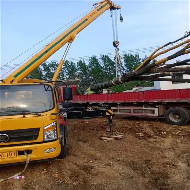 胡场镇100吨吊车租赁费用怎么算？3大关键因素+省钱技巧全解析